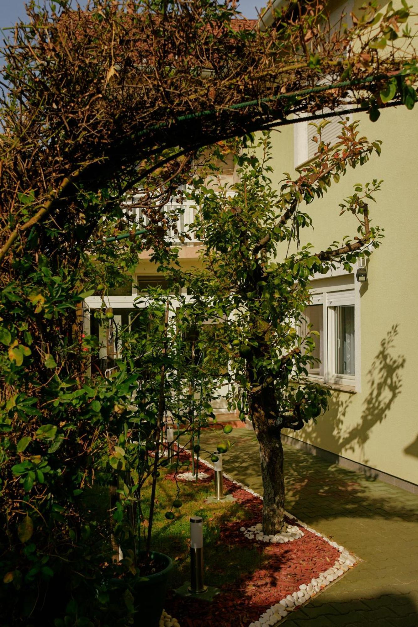 Soba Luic Apartment Zupanja Exterior photo